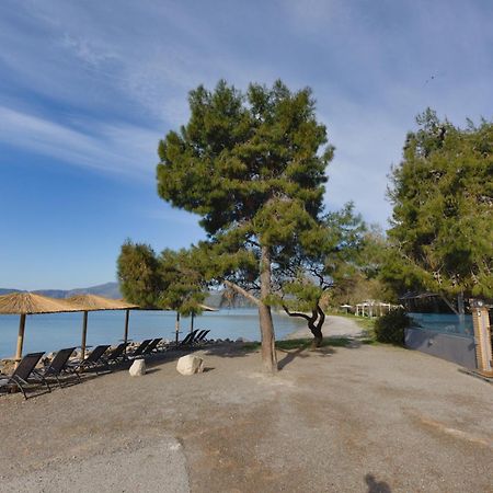 Kalafatis Beach Home Ιτέα Εξωτερικό φωτογραφία