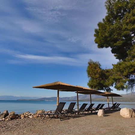 Kalafatis Beach Home Ιτέα Εξωτερικό φωτογραφία