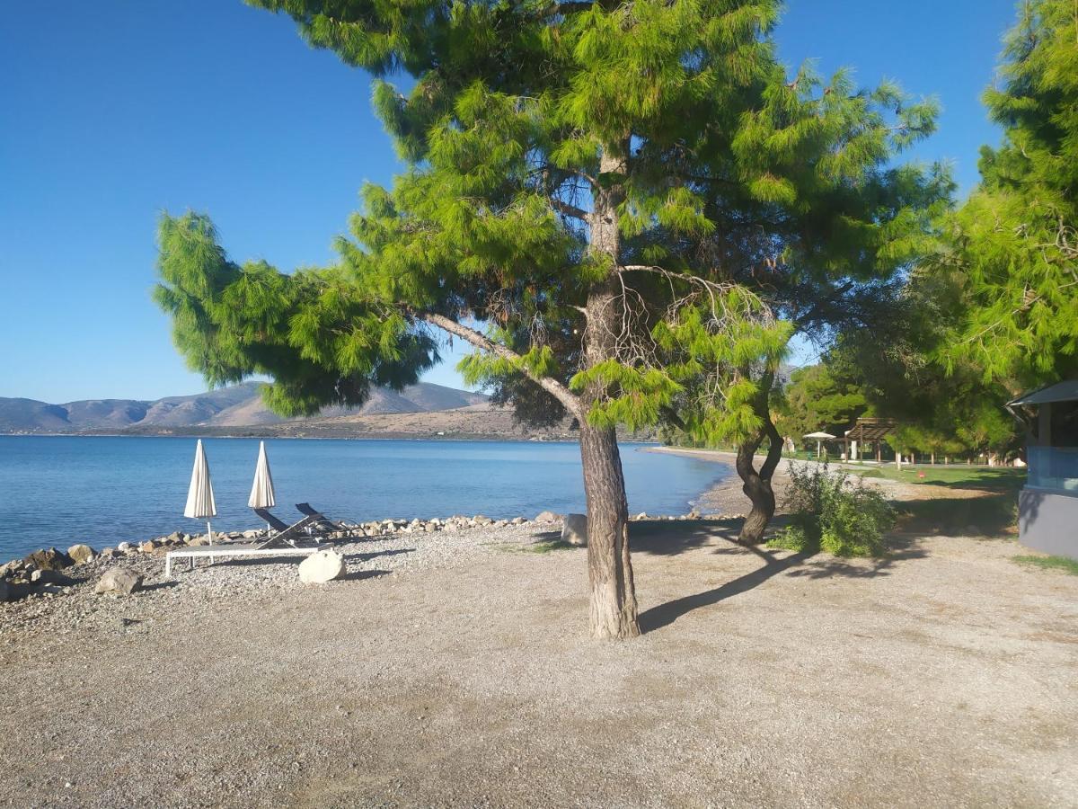 Kalafatis Beach Home Ιτέα Εξωτερικό φωτογραφία