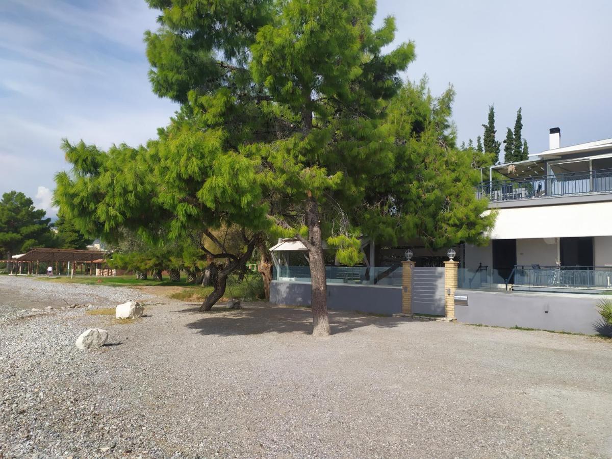 Kalafatis Beach Home Ιτέα Εξωτερικό φωτογραφία